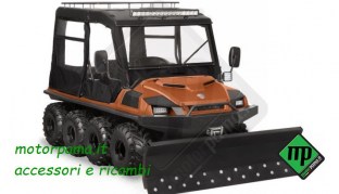 stagioni ant arancione